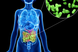 x-ray of humans insides and zoom into microbiota