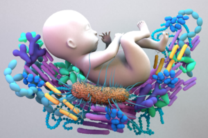 Baby microbiome, genetic material of all the micorbes